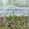 La red de pájaros del jardín mantiene alejados a los pájaros